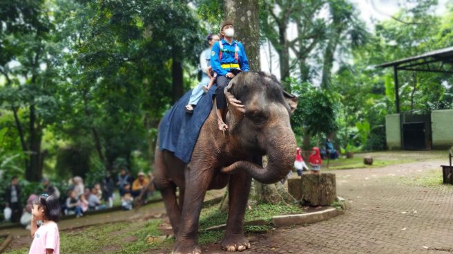 Bandung Zoo