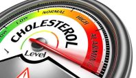 Ilustrasi 10 Makanan menurunkan Kolesterol