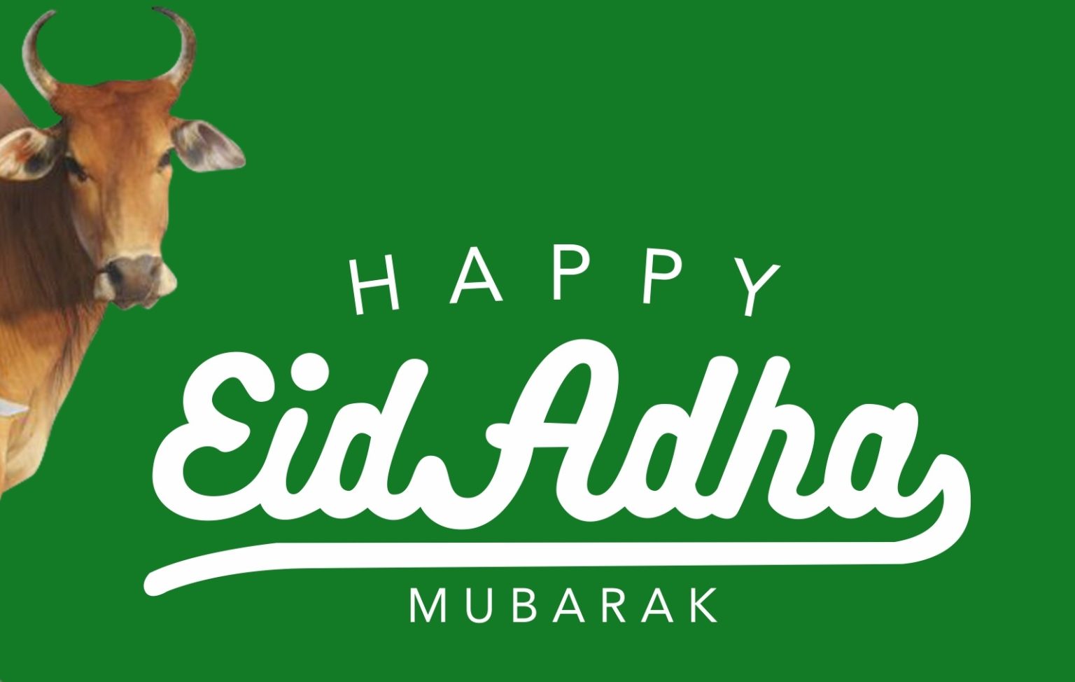 Ilustrasi Idul Adha - net