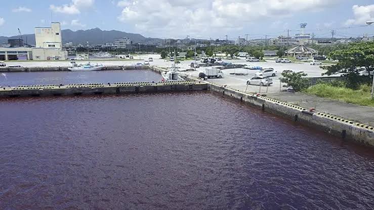 Air pelabuhan okinawa