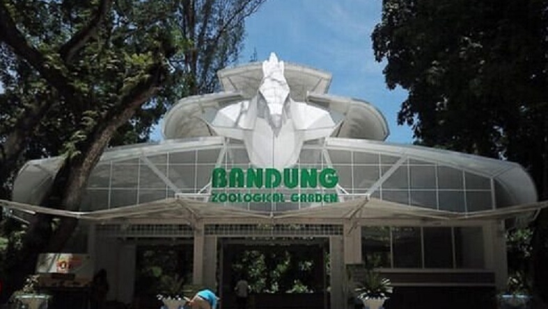 kebun binatang bandung, Pemkot Bandung