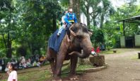 kebun binatang bandung
