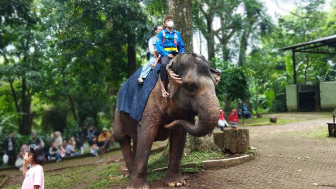 kebun binatang bandung