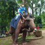 kebun binatang bandung
