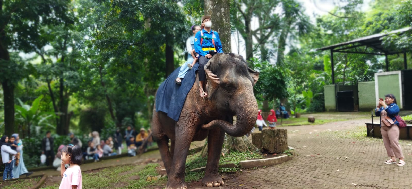 kebun binatang bandung