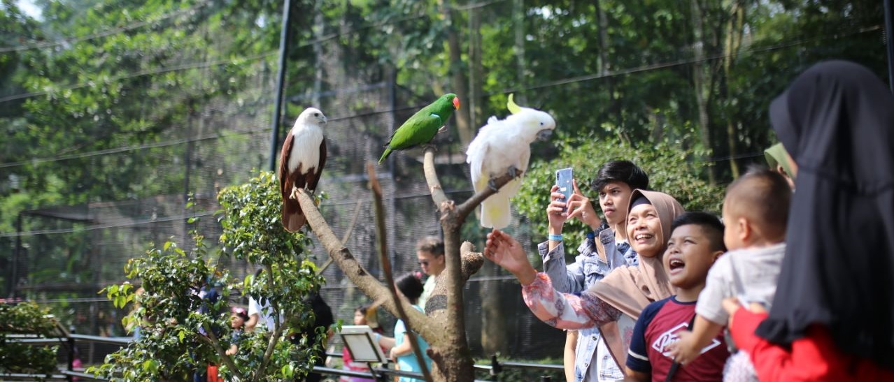 Kebun Binatang-pemkot bandung wacanakan pengelolaan kebun binatang