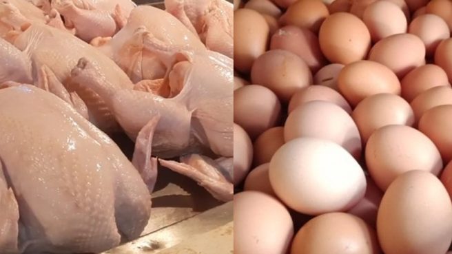 Harga daging ayam dan telur