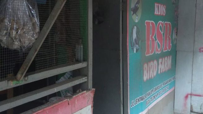 Kios Burung BSR yang berada di Jalan Ahmad yani Kota Cirebon berhasil di bobol kawanan maling (Rizki Oktaviani_Prolitenews