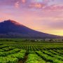 Gunung Kerinci