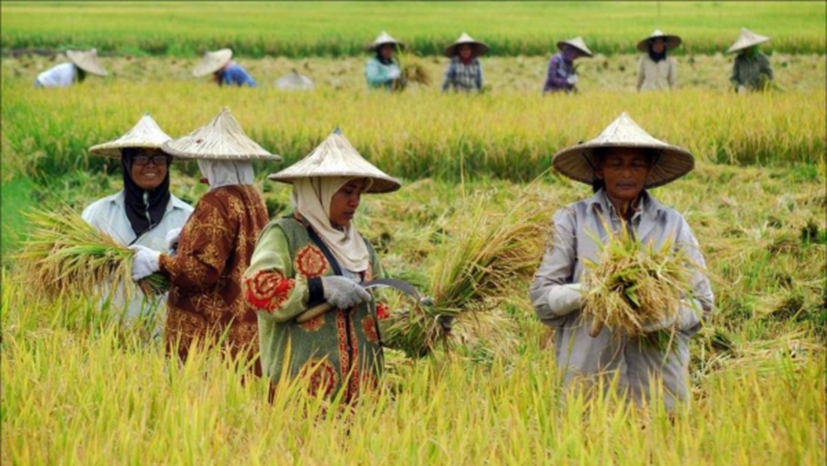 Hari Tani Nasional