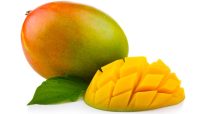 Ilustrasi buah mangga (Fotosearch).