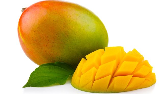 Ilustrasi buah mangga (Fotosearch).