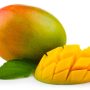 Ilustrasi buah mangga (Fotosearch).