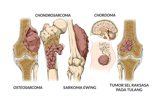 Alodokter