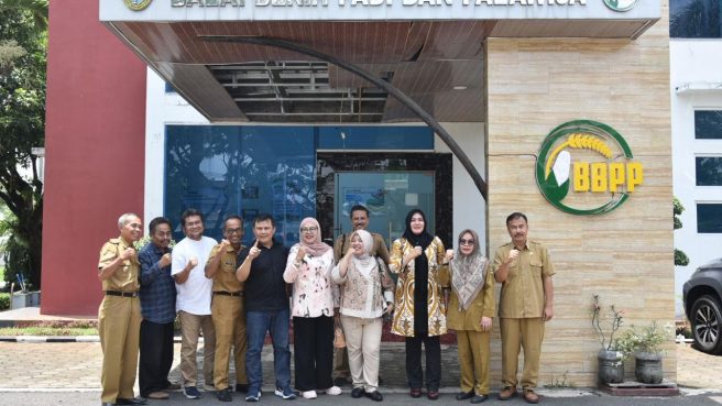Wakil Ketua Komisi II DPRD Provinsi Jawa Barat Lina Ruslinawati saat melakukan kunjungan kerja ke UPTD Balai Pengembangan Benih Padi dan Palawija di Cihea, Kabupaten Cianjur mengenai kelangkaan beras (dokumentasi).