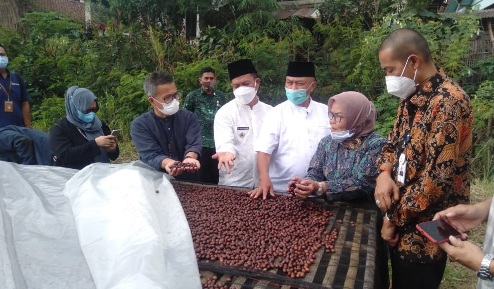 Gebyar Perbenihan Tanaman Pangan Nasional IX