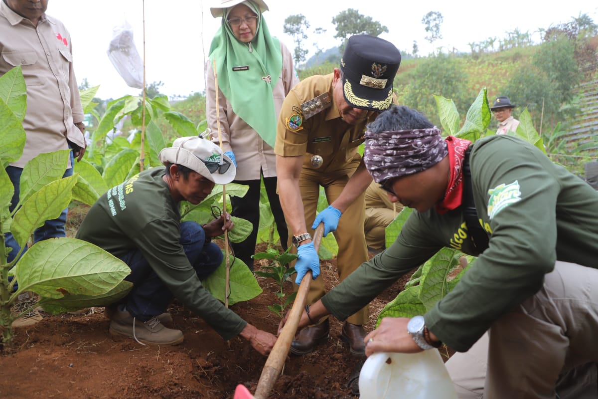 Gebyar Perbenihan Tanaman Pangan Nasional IX