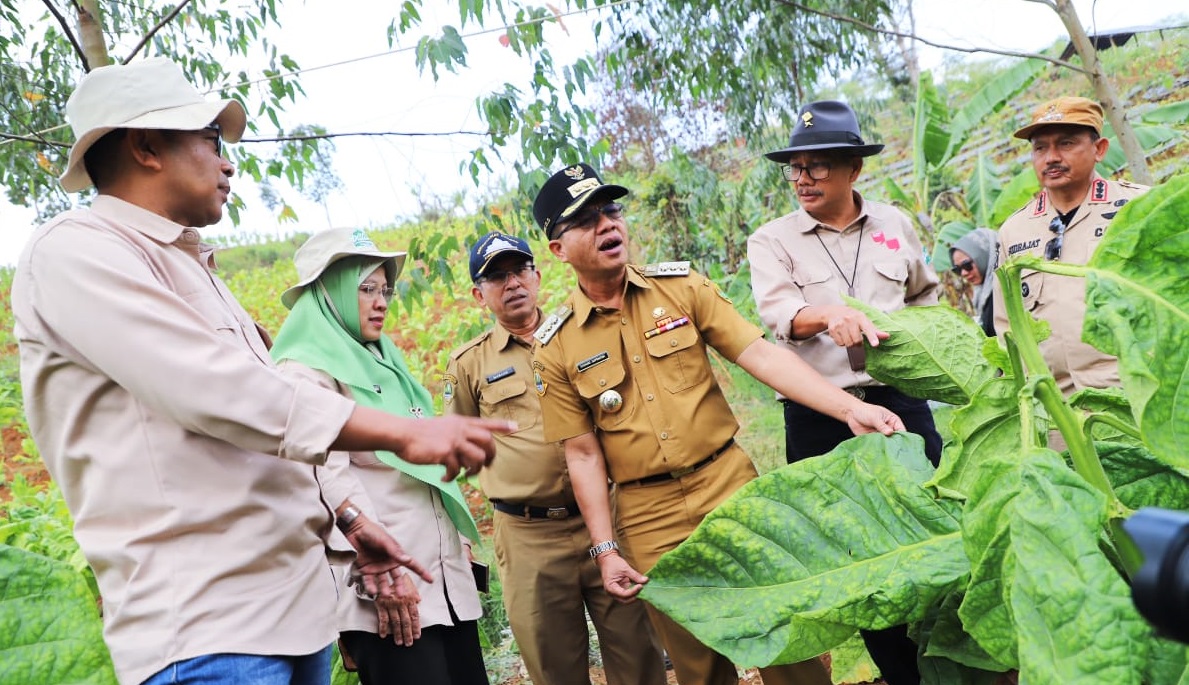 Gebyar Perbenihan Tanaman Pangan Nasional IX