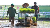 Gebyar Perbenihan Tanaman Pangan Nasional IX