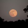 Hunters Moon akan muncul di langit Indonesia (Stephen Rahn).