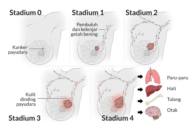 alodokter