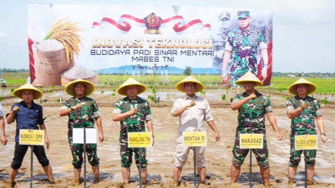 INOVASI PENANAMAN BIBIT PADI UNGGUL MABES TNI (dok).