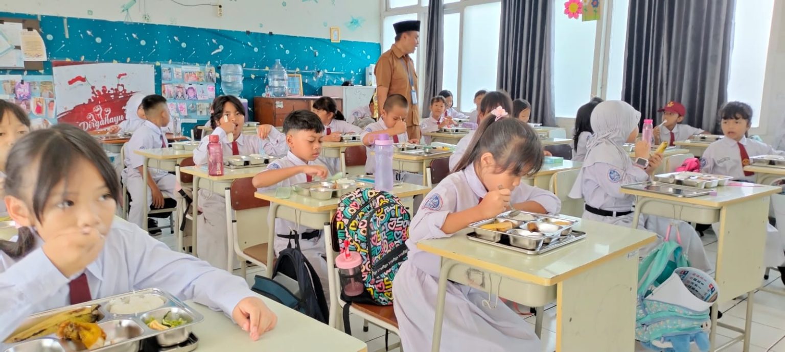 makan bergizi gratis, mgg