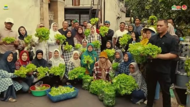 Buruan SAE Taruna 08 Panen Selada Hijau 92 (dok Pemkot Bandung).