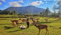 Kampung Cai Ranca Upas menjadi destinasi wisata yang wajib dikunjungi (Tour Bandung).
