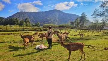 Kampung Cai Ranca Upas menjadi destinasi wisata yang wajib dikunjungi (Tour Bandung).