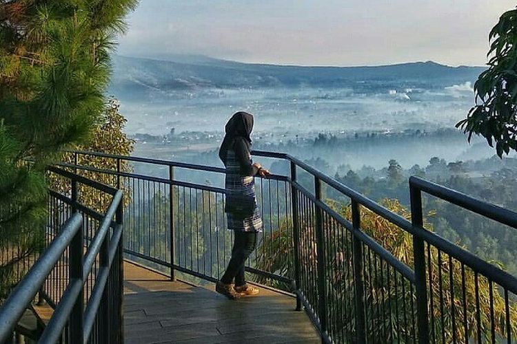 Kompas