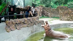 Lembang Park Zoo