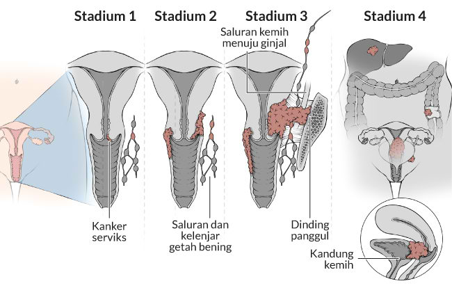 Alodokter