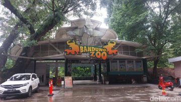 Wisata Bandung Zoo jadi pilihan untuk mengisi libur sekolah (detik).