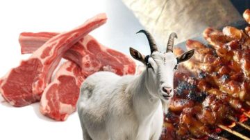 Daging Kambing