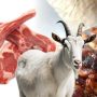 Daging Kambing