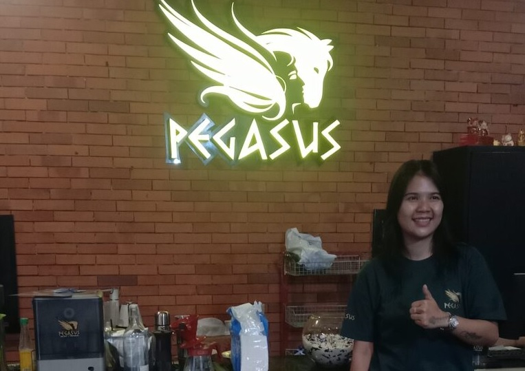 pegasus refleksi