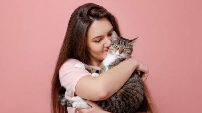 Kucing