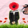 Tall Poppy Syndrome