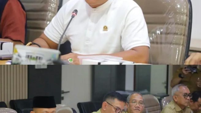 Asep Robin Satpol PP Harus Mampu Menangani Kejahatan Terhadap Ketertiban Umum (dok).