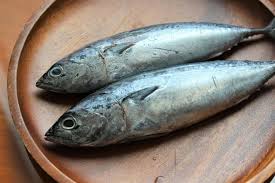 Tuna Ringan
