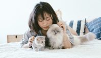 Ikatan Emosional Kucing dan Pemiliknya