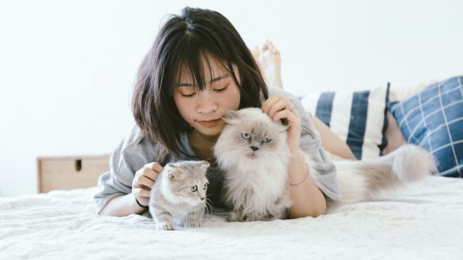 Ikatan Emosional Kucing dan Pemiliknya