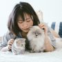 Ikatan Emosional Kucing dan Pemiliknya