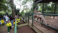 Bandung Zoo Belum Dibuka, Pemkot Bandung Masih Cari Pengelola Resmi (dok).