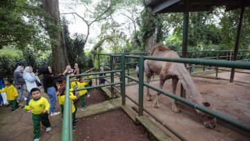 Bandung Zoo Belum Dibuka, Pemkot Bandung Masih Cari Pengelola Resmi (dok).