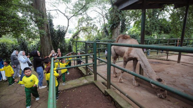 Bandung Zoo Belum Dibuka, Pemkot Bandung Masih Cari Pengelola Resmi (dok).