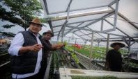 Pemkot Bandung Kelola Ketahanan Pangan di Lahan Sempit (net).