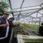 Pemkot Bandung Kelola Ketahanan Pangan di Lahan Sempit (net).