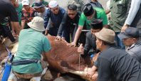 Bupati Bandung Salurkan Kurban Bantuan Presiden untuk Warga Terdampak Banjir Dayeuhkolot (dok).